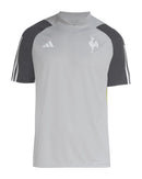 Atletico Mineiro 24/25 Training Jersey - Gray - Fan Version